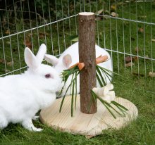DREVO za krmo za zajce - 30cm